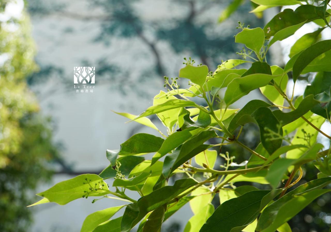 La Tree 普椿農場木子莊園 Apartment Donghe Bagian luar foto