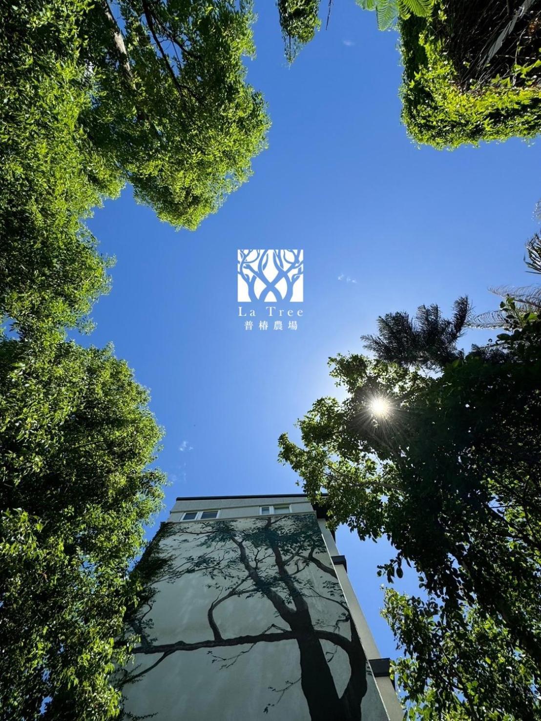 La Tree 普椿農場木子莊園 Apartment Donghe Bagian luar foto